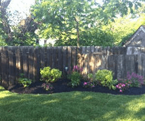 best lawn maintenance services cape may