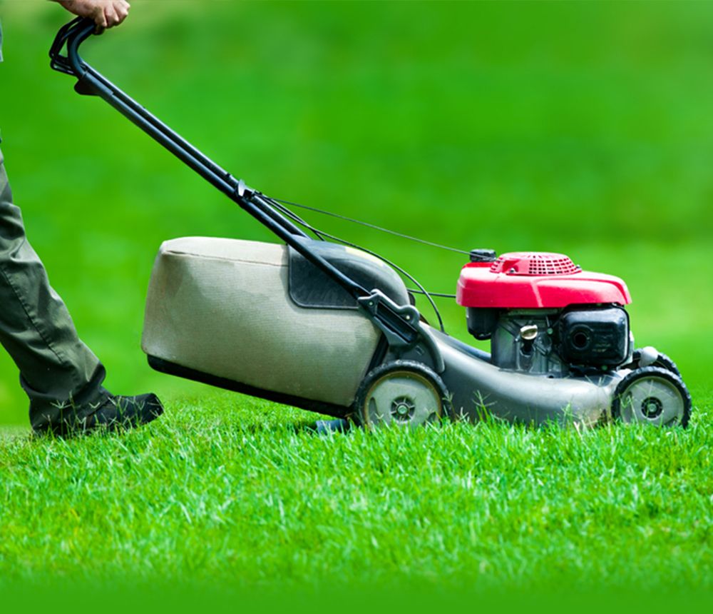 lawn mowing services cape may nj